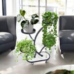 Kwietnik, regał, stojak na kwiaty metalowy na kółkach 50x 25x 80cm SZ43CZ - obrazek 5